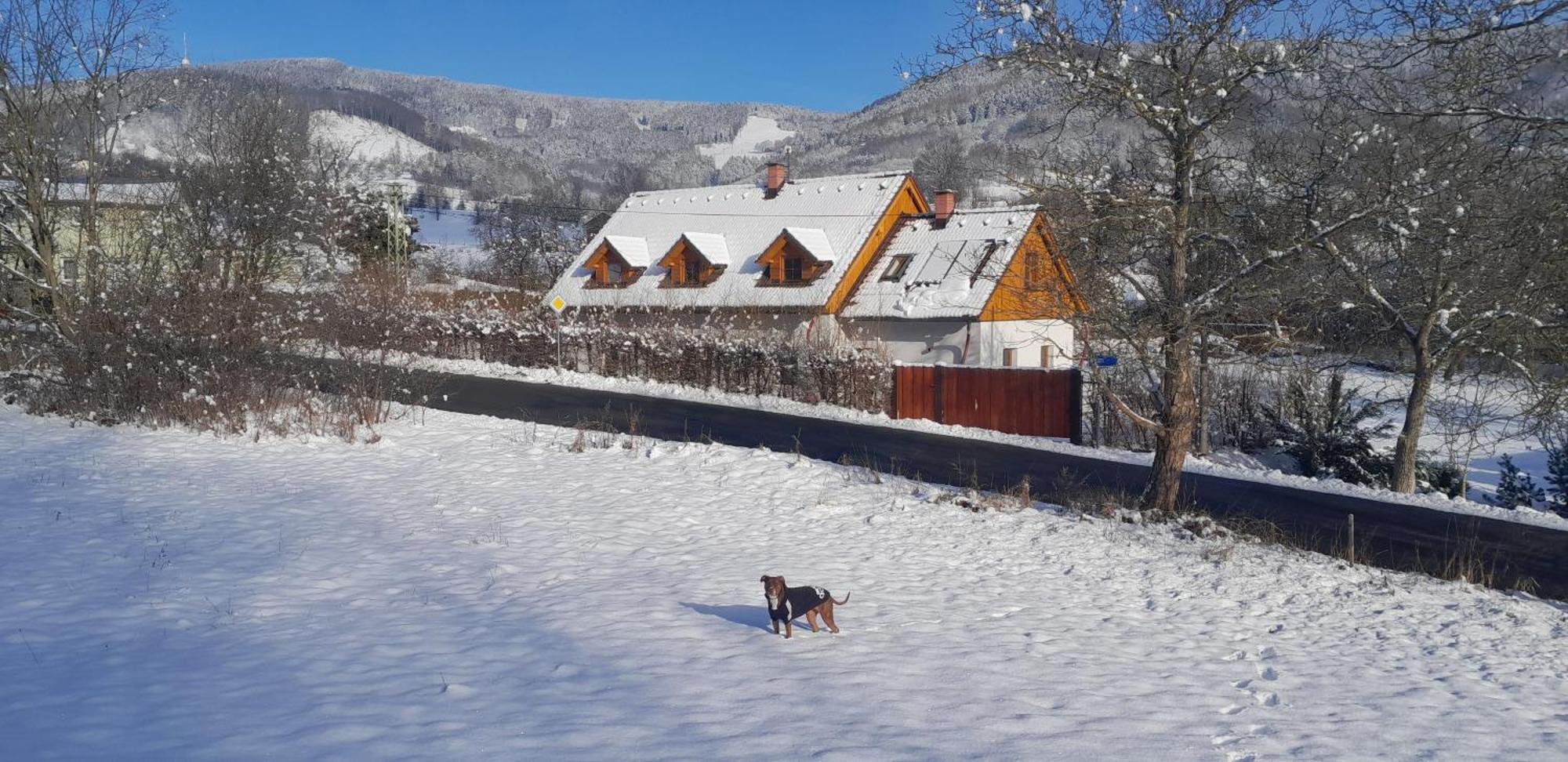 Apartman Pod Jestedem Svetla pod Jestedem Luaran gambar
